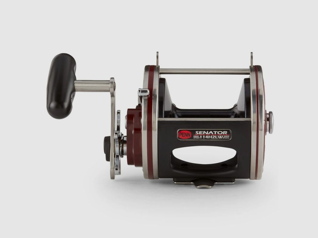 Penn Special Senator Wide Spool 6/0 Angelrolle, Bild 8 von 8
