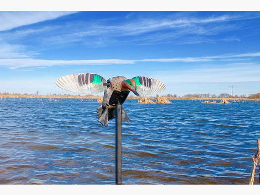 MOJO ES Canard siffleur vert