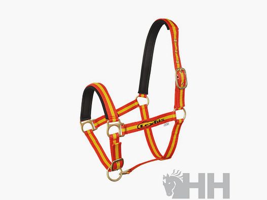Doppelte Nylonhalfter Lexhis