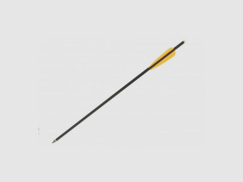CARBON-PFEILE FÜR ARMBRUST - 20 " - 4 STÜCK