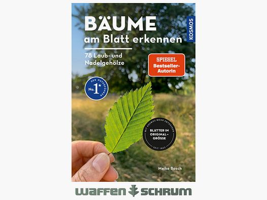 Kosmos Bäume am Blatt erkennen Meike Bosch