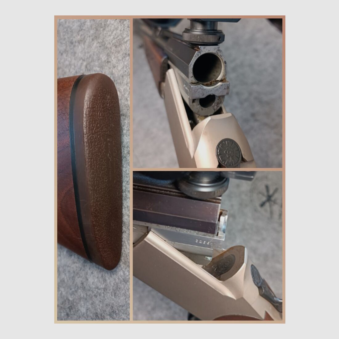 Blaser ES 80 with scope Capra 2-12x50 illuminated dot