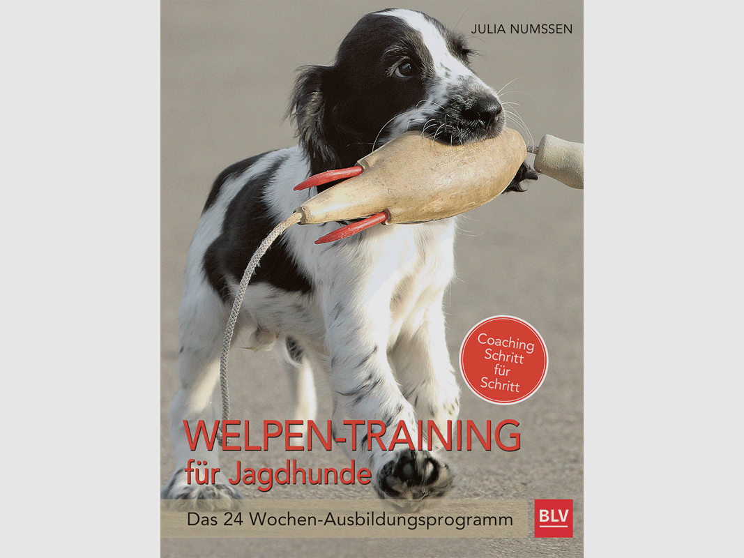 Libro "Entrenamiento de cachorros para perros de caza"