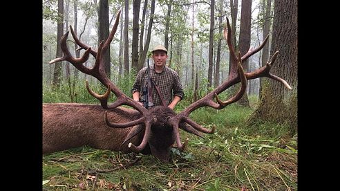 Jagd auf kapitale Rothirsche in Rumänien / hunting big red stags in romania - Junge Jagd