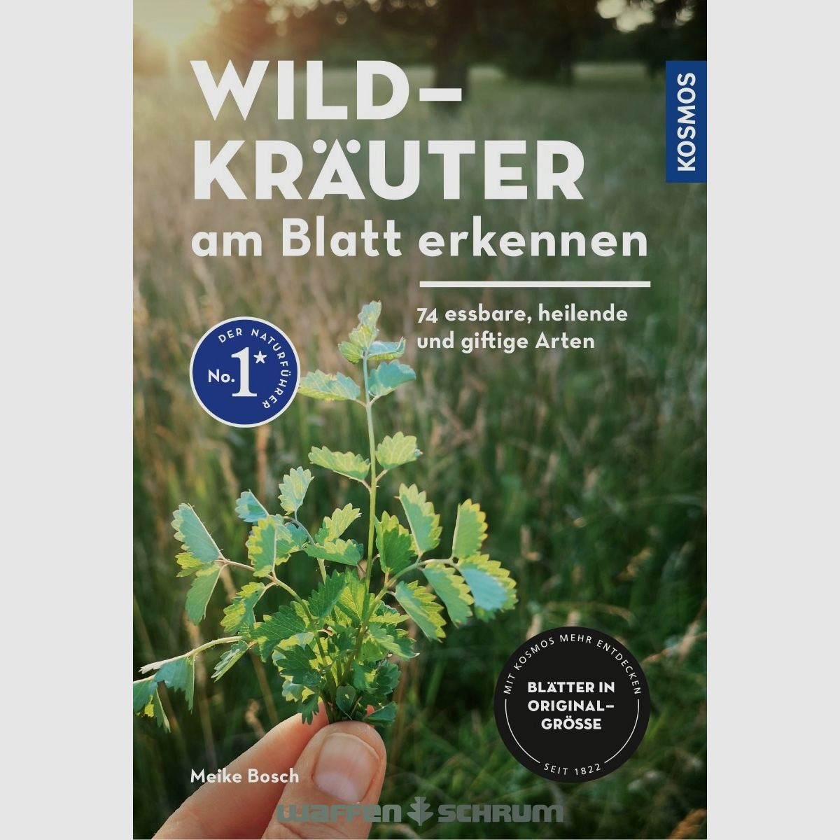Kosmos Wildkräuter am Blatt erkennen Meike Bosch