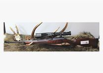 Sauer & Sohn 202 Euro con mira variable .30-06Spring