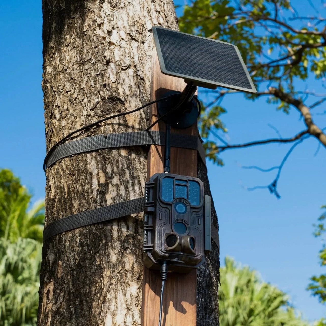 Solarpanel GardePro SP350 mit wiederaufladbarem Akku, Bild 4 von 7