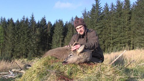 Roe buck hunting 2017 / bukkejakt i Skottland 2017