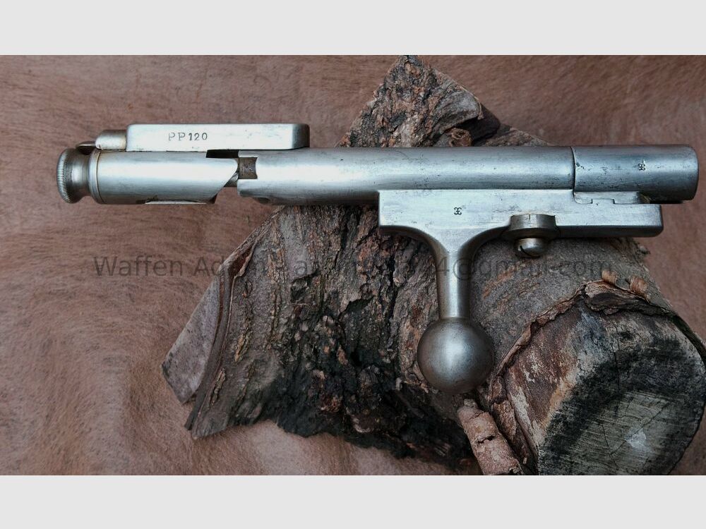 Steyr Kropatschek 1889