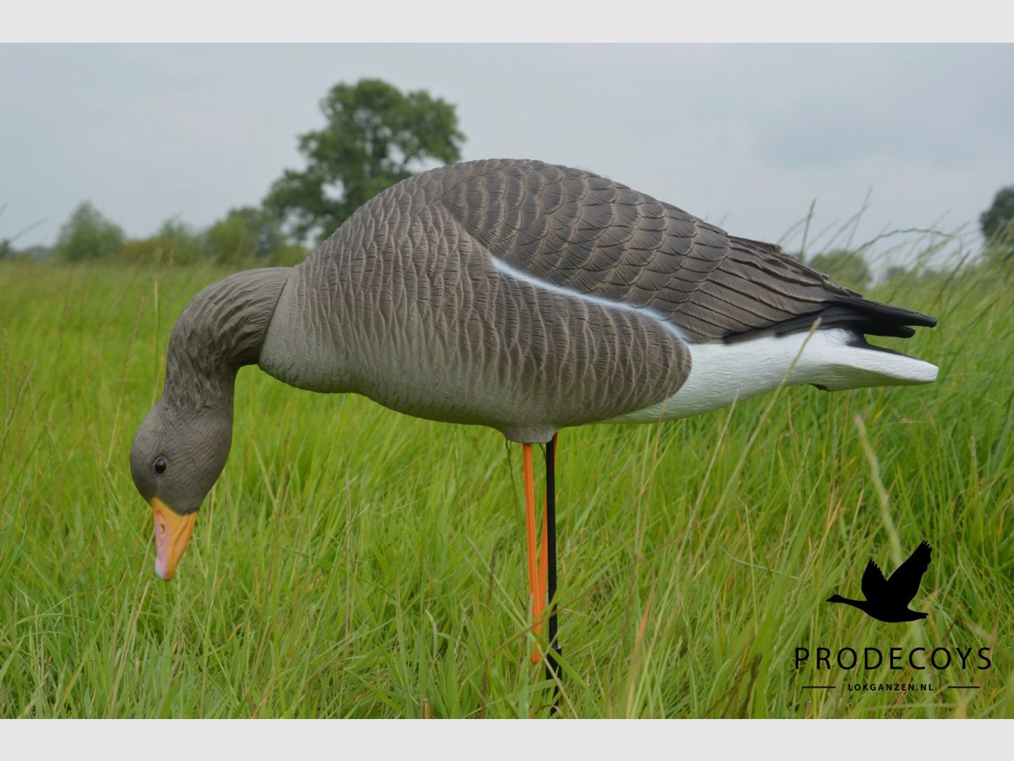 Prodecoys Elite Series Graugans-Lockvögel Full Body – 6er-Set, Bild 8 von 15