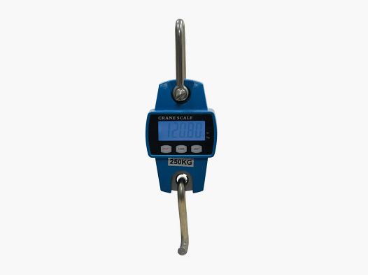 Elektronische Waage 250 kg Metallgehäuse Teilung in 50 g