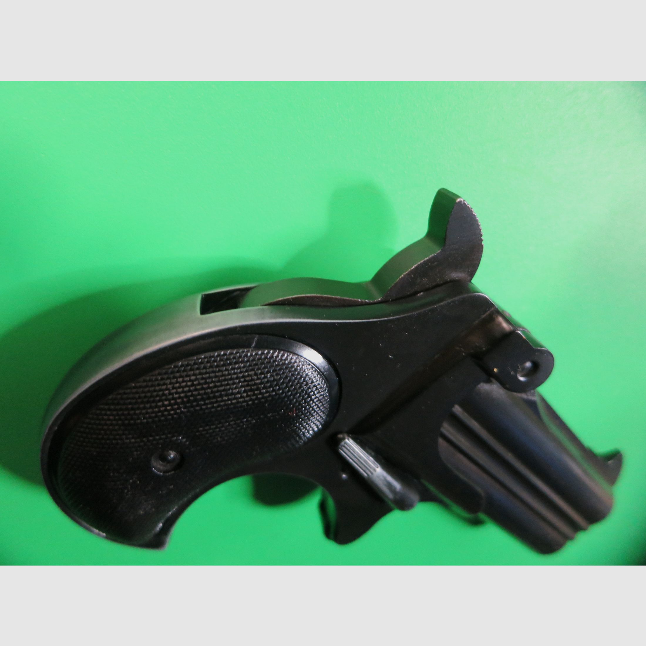 RÖHM RG17 Derringer, .38 Special, Fangschuss + Fallenjagd   #53