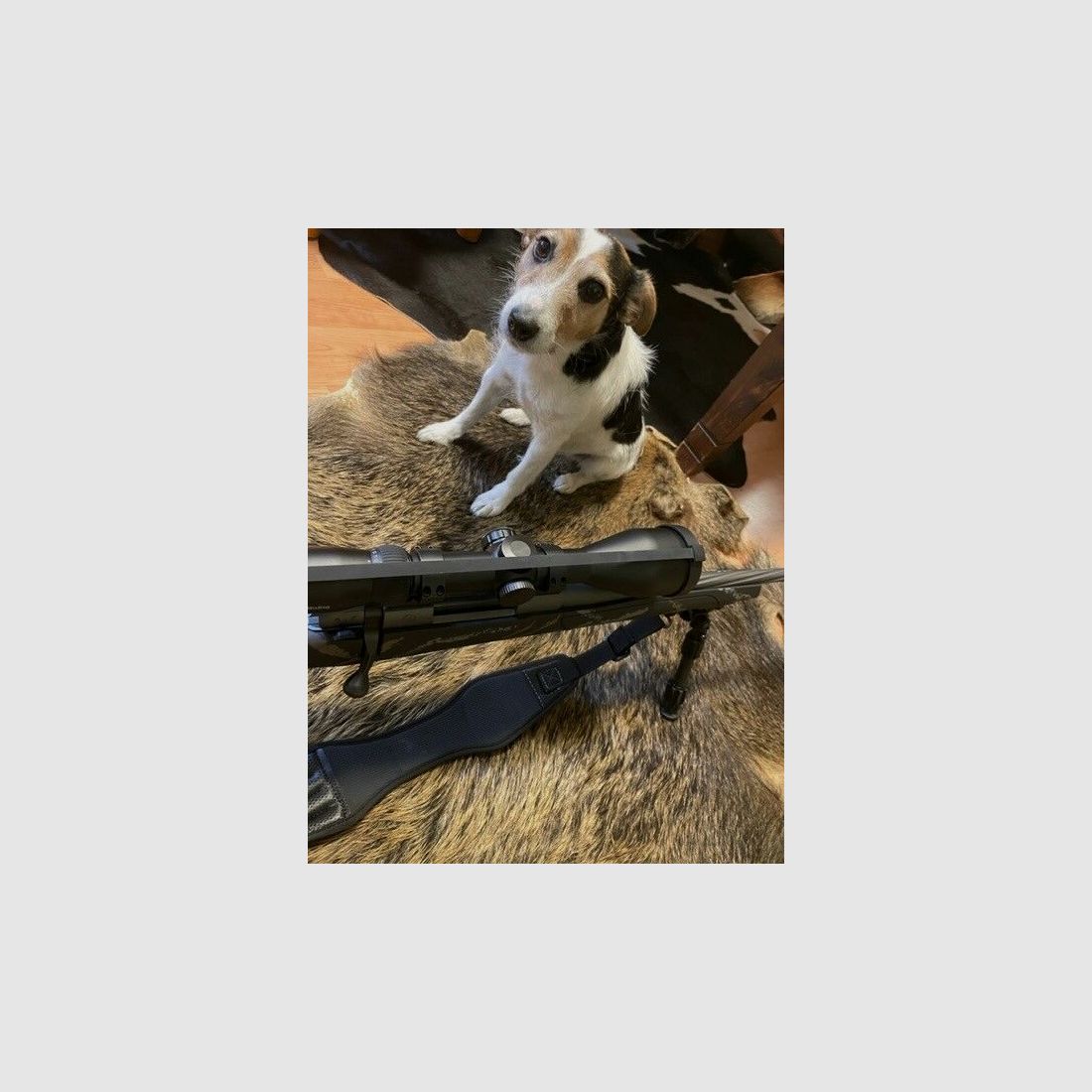 Weatherby Vanguard® Meat Eater Steven Rinella mit Optik