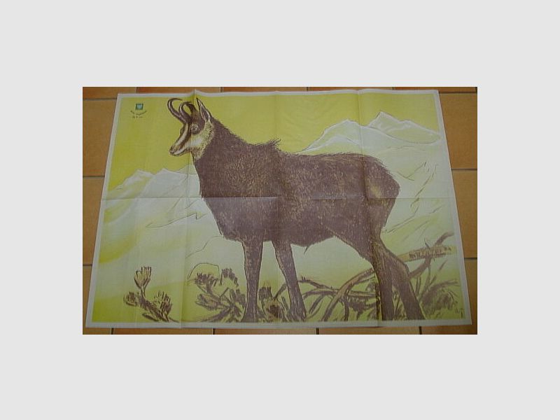 Deutscher Jagdverband DJV Scheibe Nr4 Gamsbock