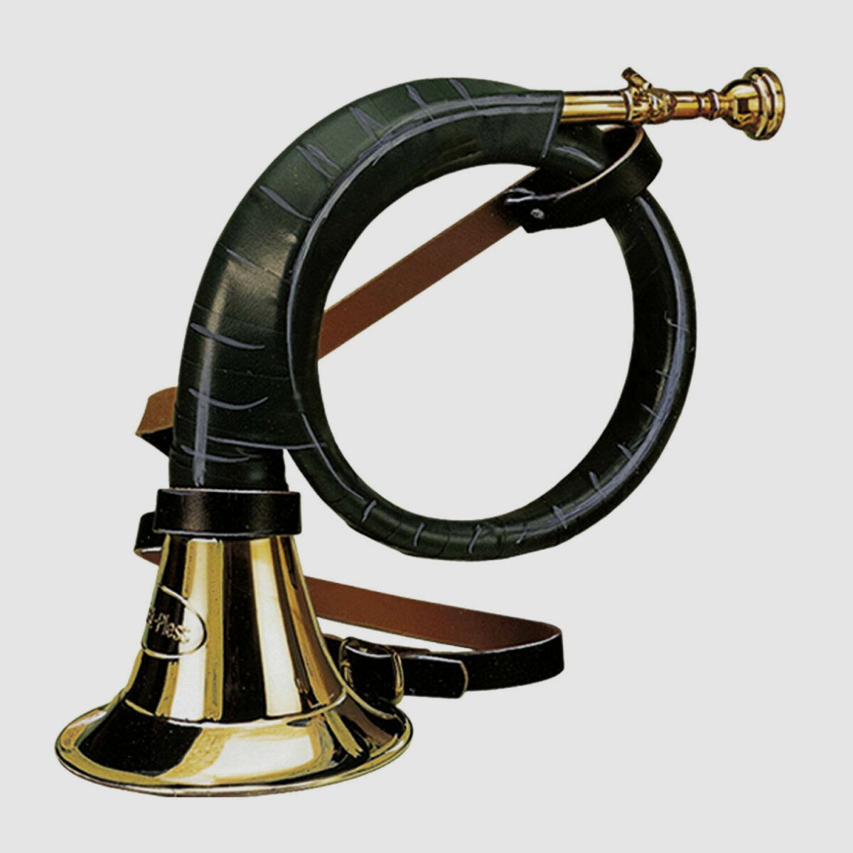 Frst-Pless-Horn B