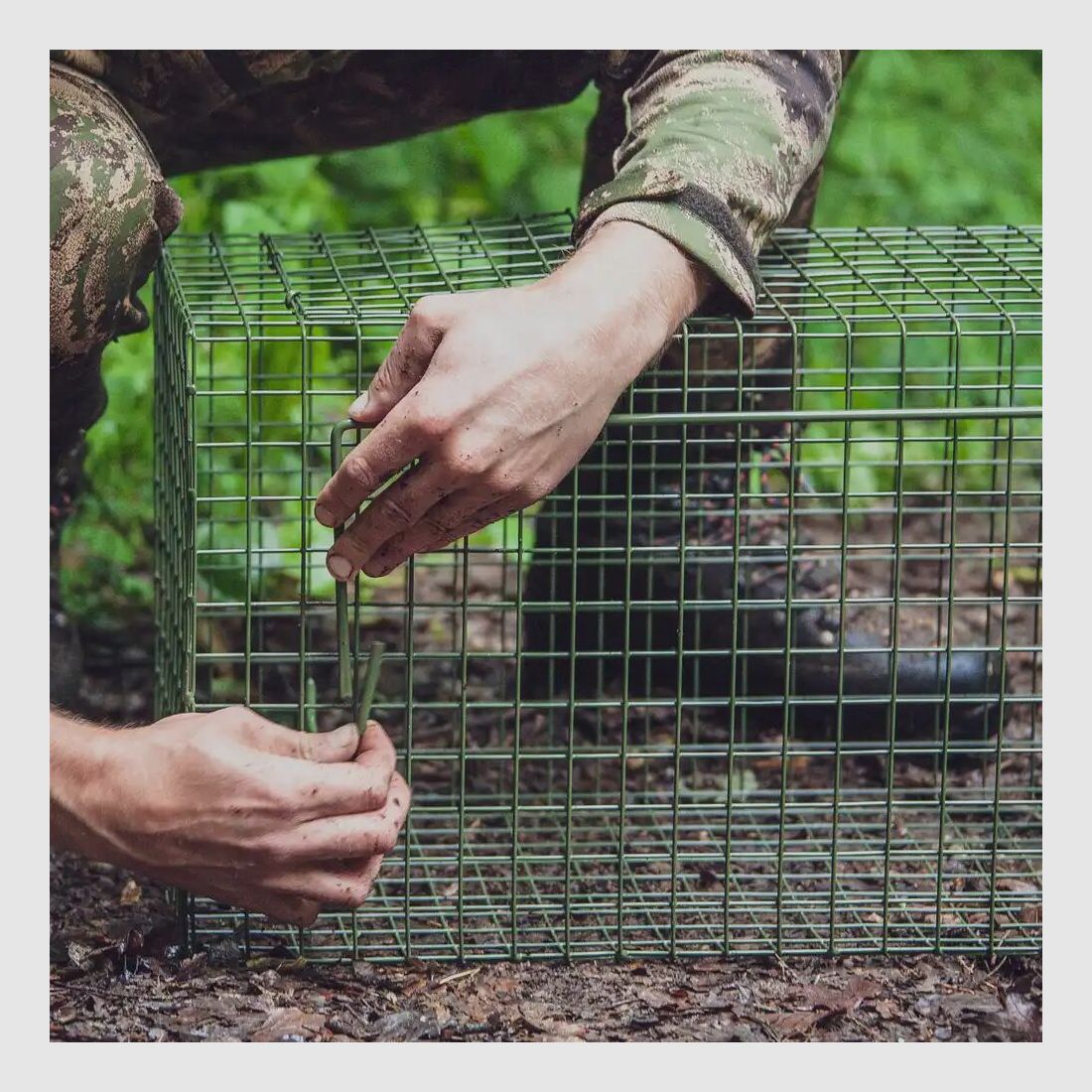Frankonia piège à capture vivante – porte unique à battants