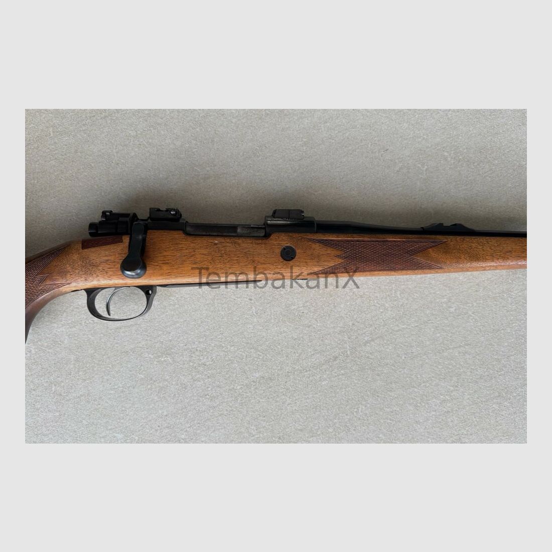 Mauser 1909 9.3x62