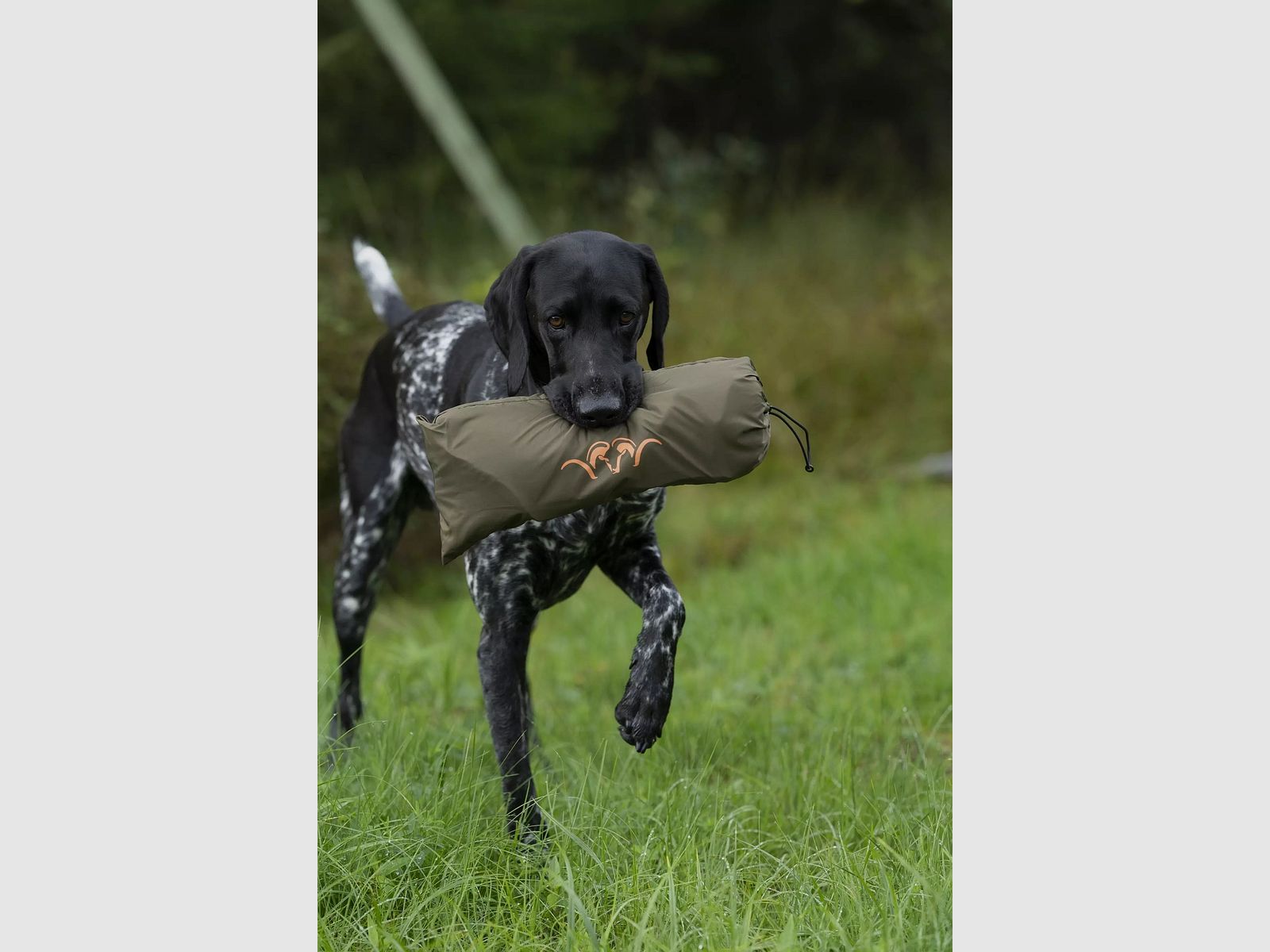 Blaser Couverture/tapis pour chien Huntec Camo, image 4 sur 6