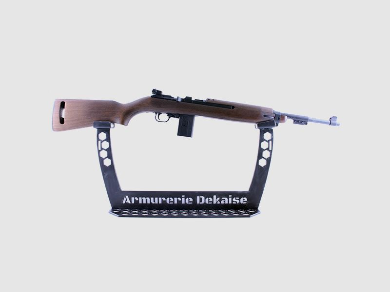 Chiappa m1-22
