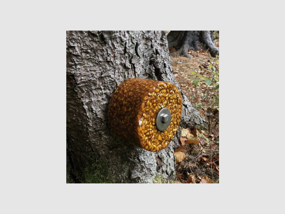 Juego de tornillos Wildlutscher para montaje en árbol