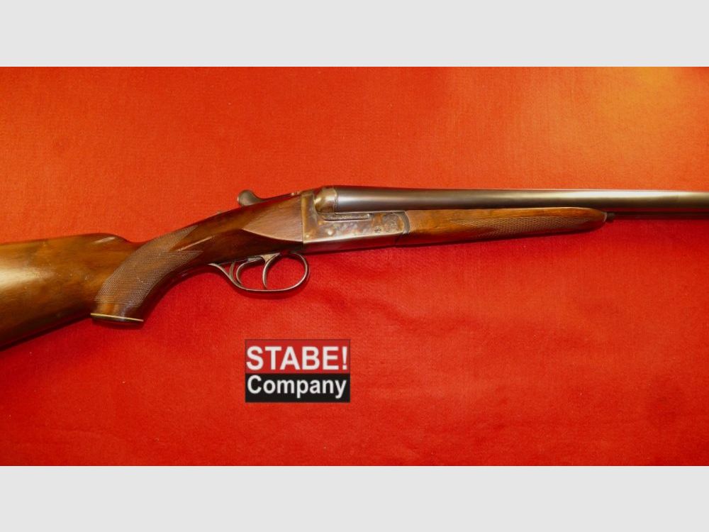 AYA Espagne Busard des roseaux