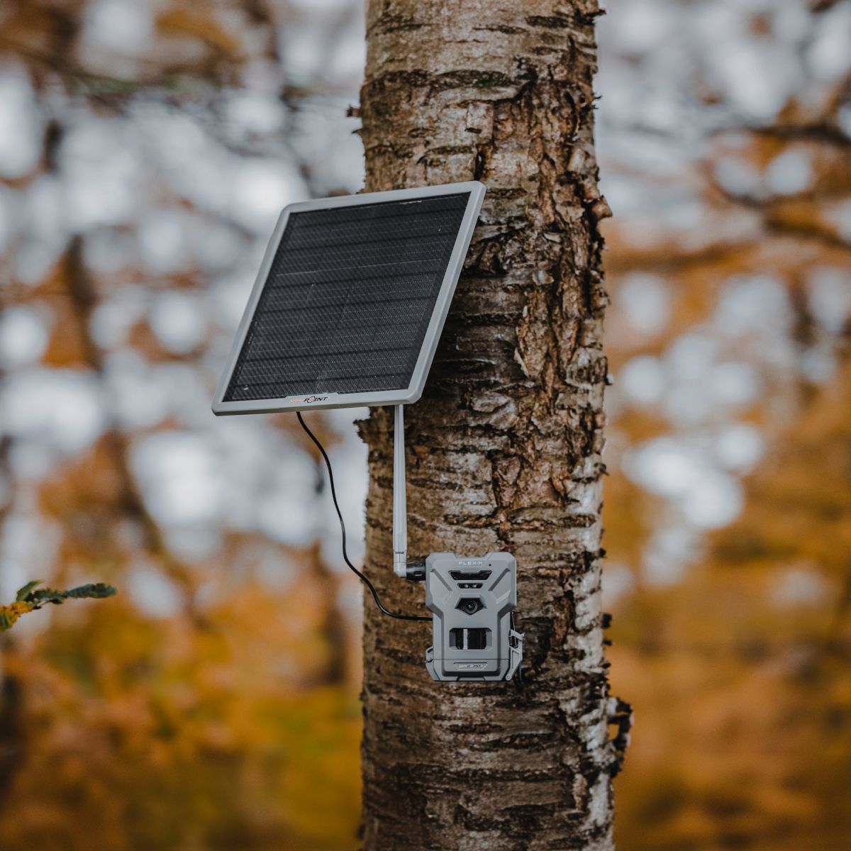 SPYPOINT FLEX-M & SOLAR-22 Ensemble/ UN3481/188