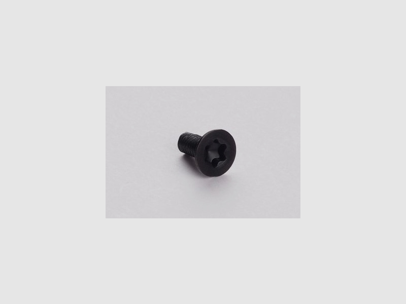 CZ75 Griffschalenschraube Torx T20