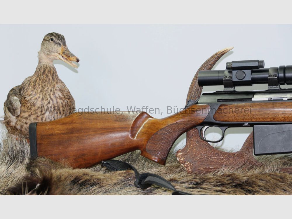 Sauer 303 mit Aimpoint 5000 303 Classic