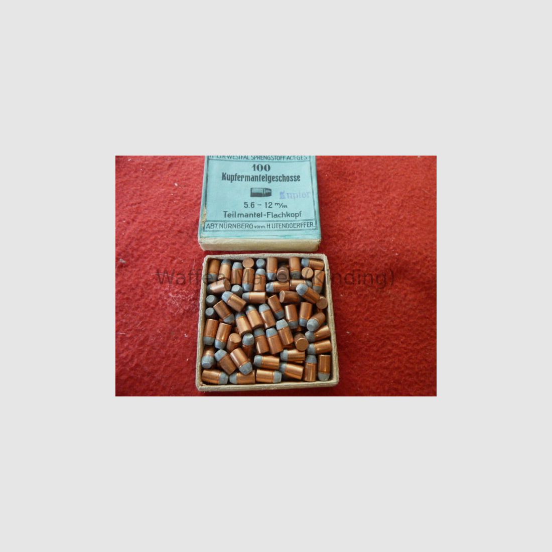 RWS Copper Jacketed Bullets