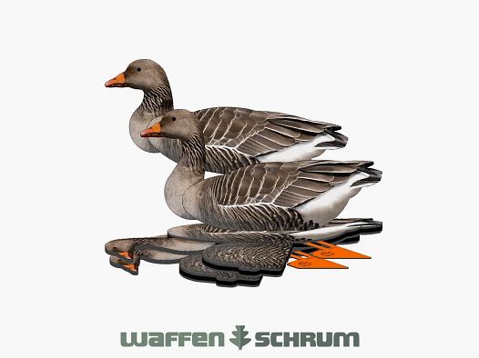 National Rifle Association FUD decoys gray goose 6-pack