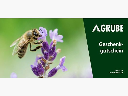 Geschenkgutschein