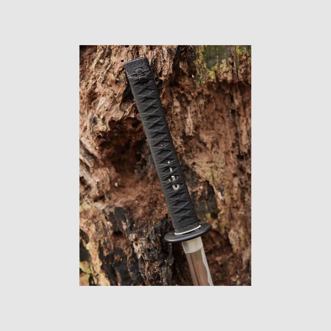 Dragon King Night Owl Katana Schwert