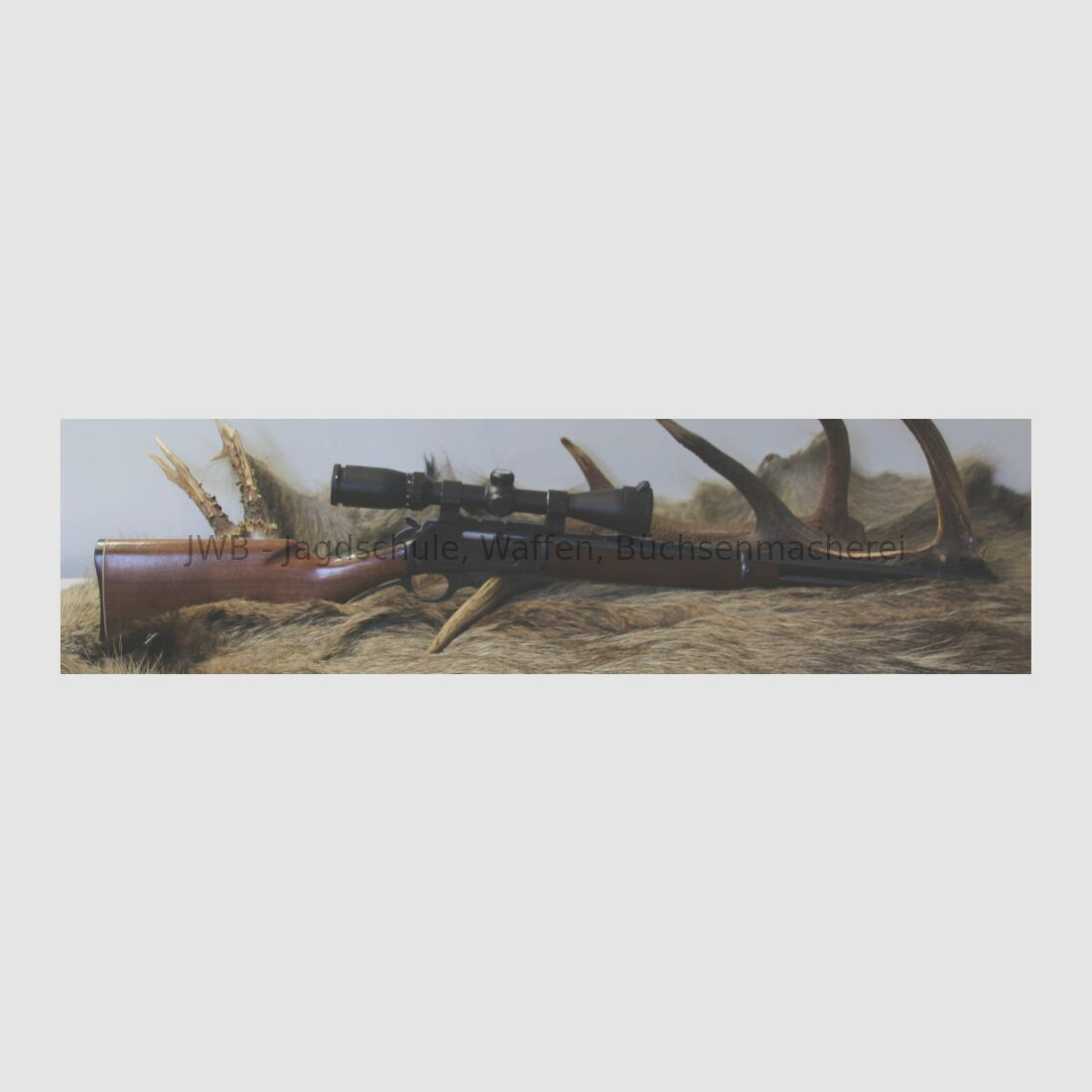 Marlin 336 mit Bushnell .30-30Win