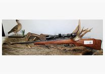 Anschütz 1516 with Tasco 3-9 x 40 .22WinMag