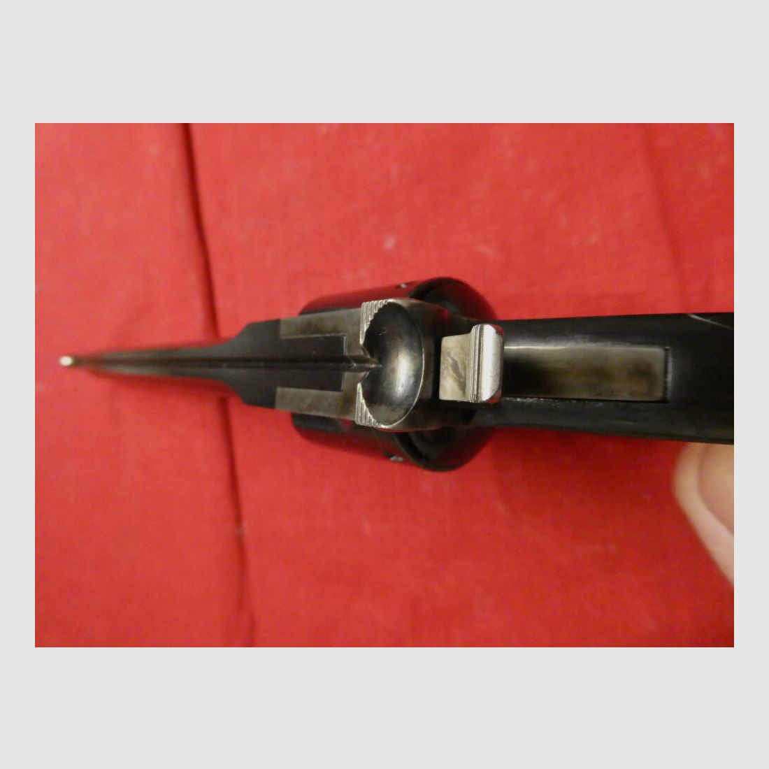 Hege Uberti Hege Schofield