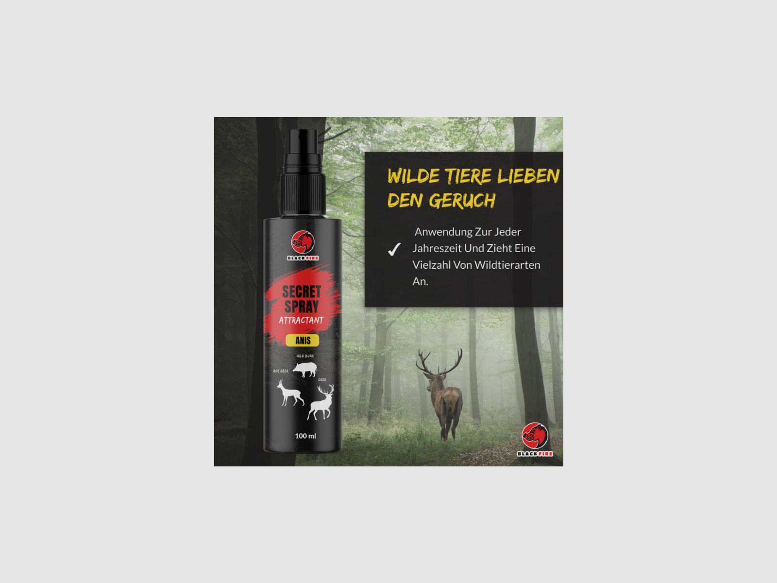 BLACK FIRE Spray ANIS 100ml