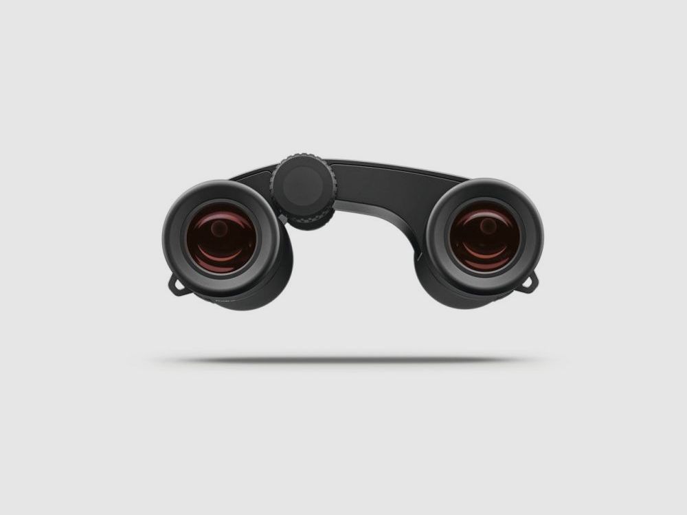 ZEISS Victory Pocket 8x25 binoculars with case