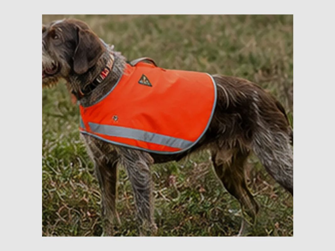 Sicherheitsweste Stepland orange fluo XL/2XL für große Hunde, Bild 3 von 7