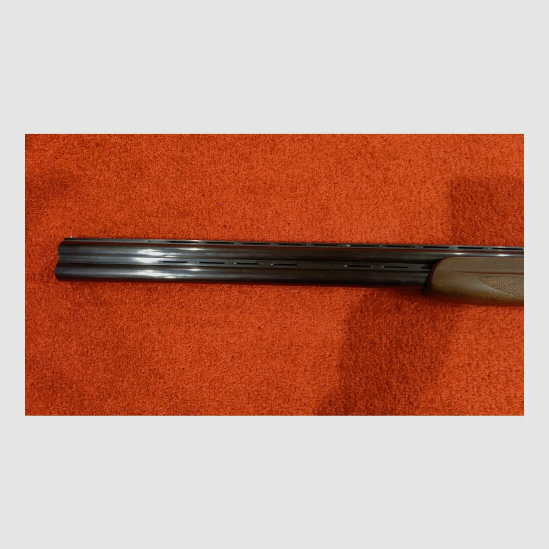 Frankonia Jagd 12/76