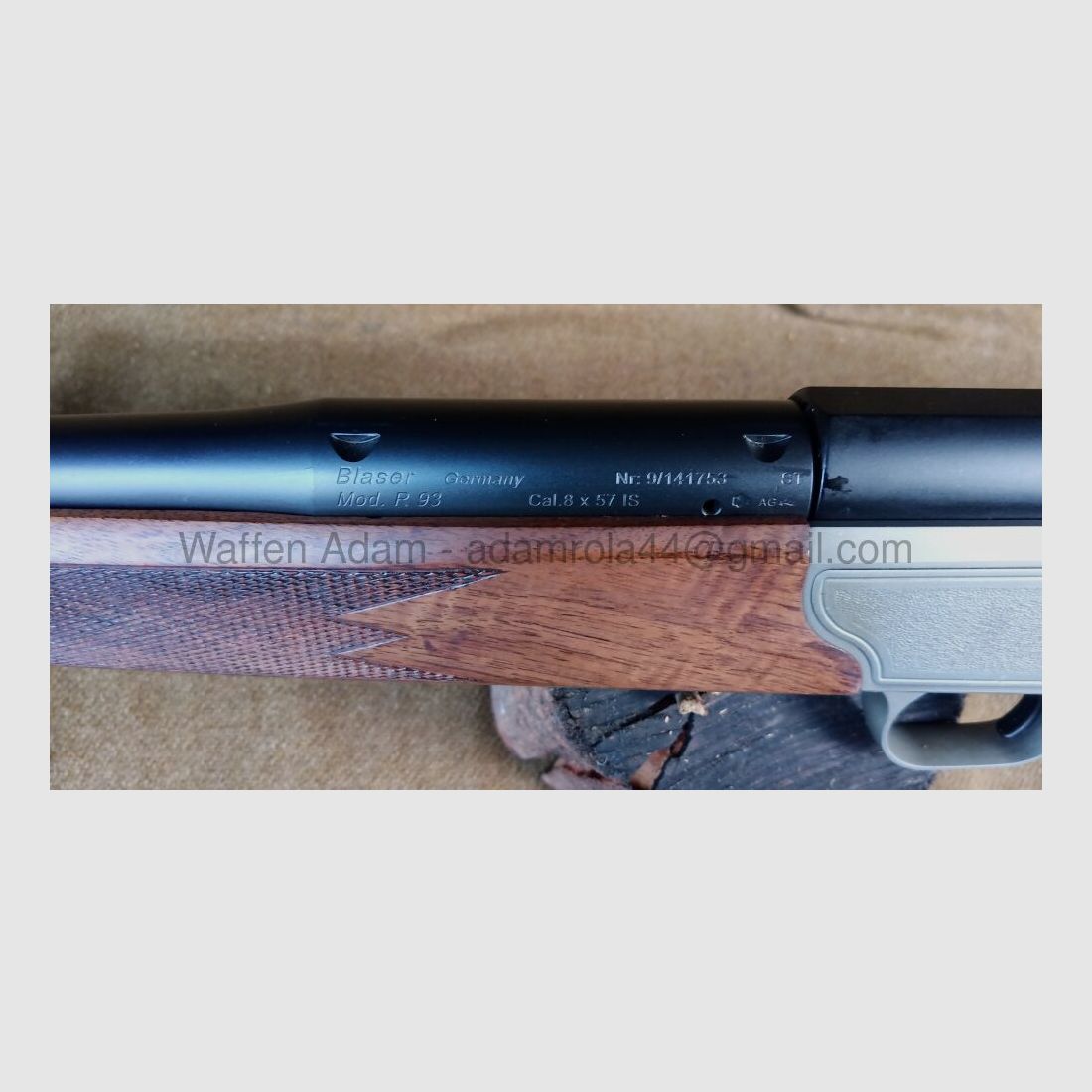 Blaser	 R 93