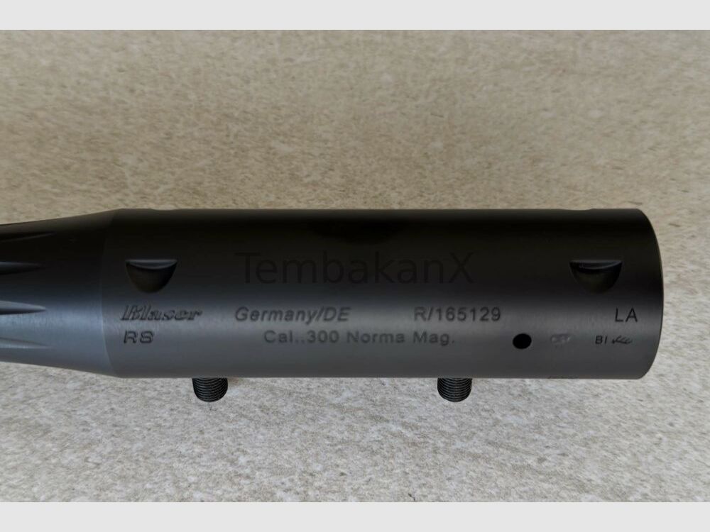 Switching run Blaser .300NormaMag