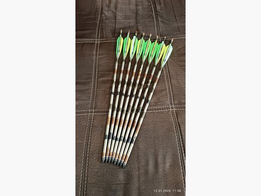Excalibur Easton XX75 flèches 8x en 20 pouces