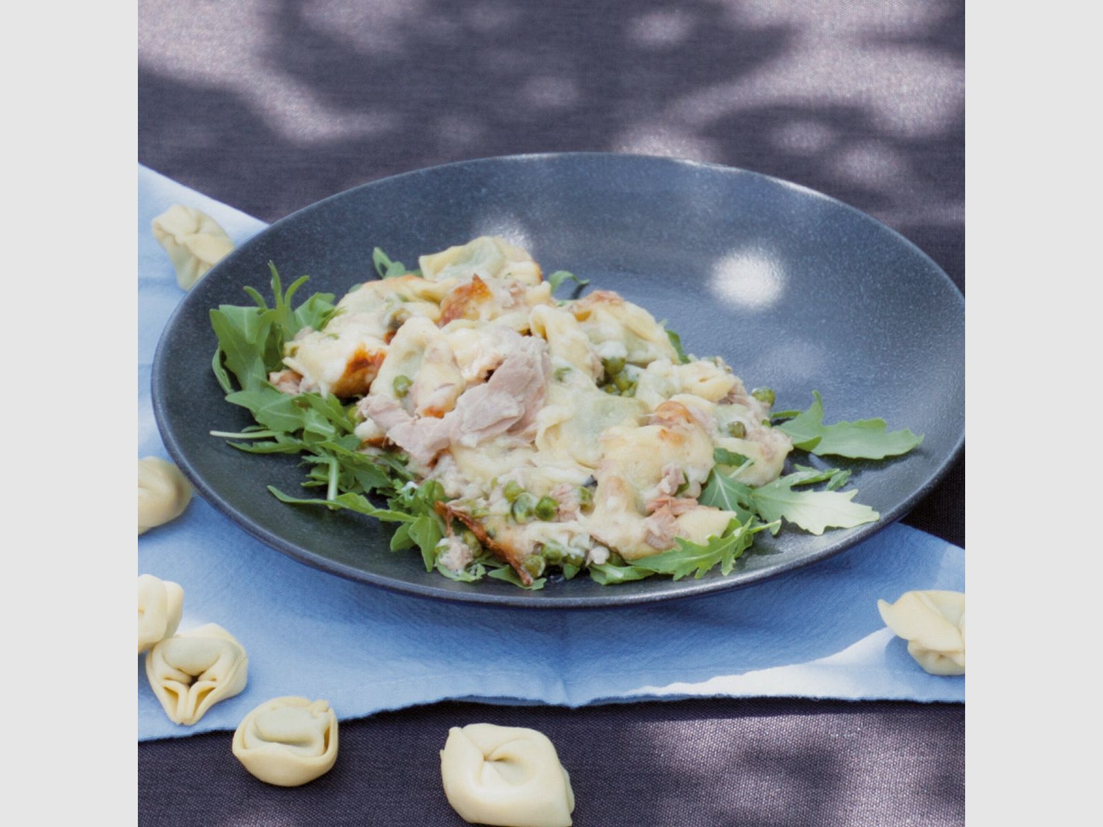 Cookbook "Best Savory Meat & Fish" Recipes for the Omnia Oven, image 5 of 6