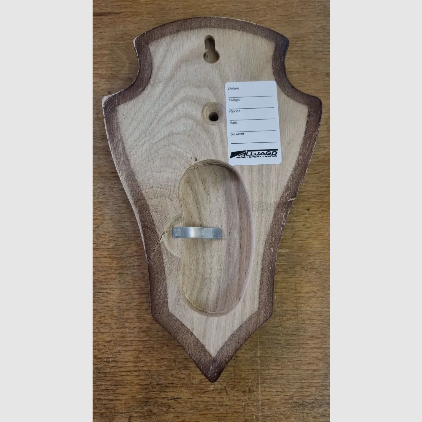 Trophyschild voor ree gemaakt van eikenhout - puntig