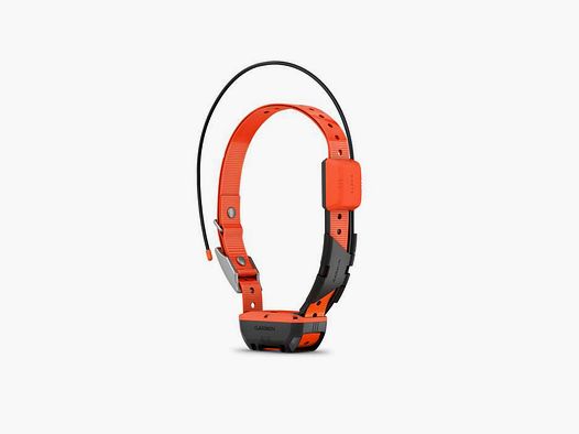 Collier De Suivi T20F GARMIN