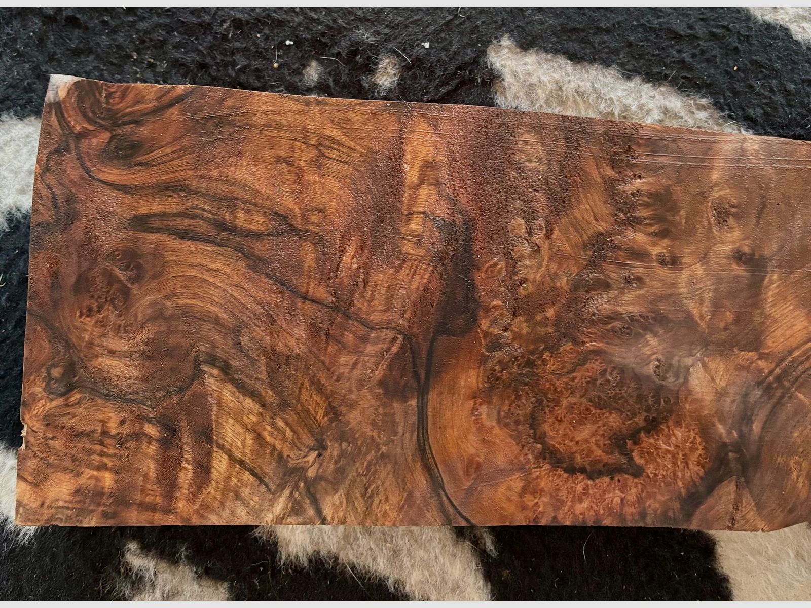 stock wood super luxury for rear & fore stock, image 6 of 12