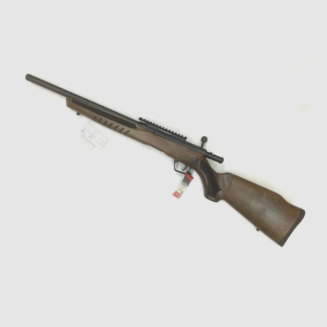 Savage B22 .22lr