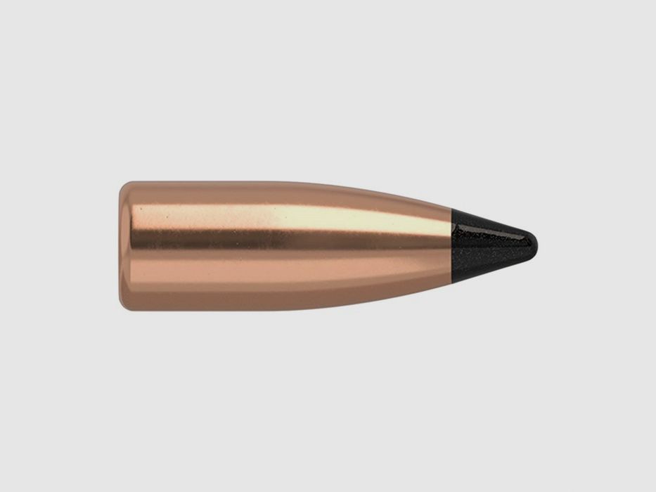 NOSLER 17 KALIBER (0,172″) 20GR FLACHBODEN GESCHOSS 100/BOX, Bild 1 von 2