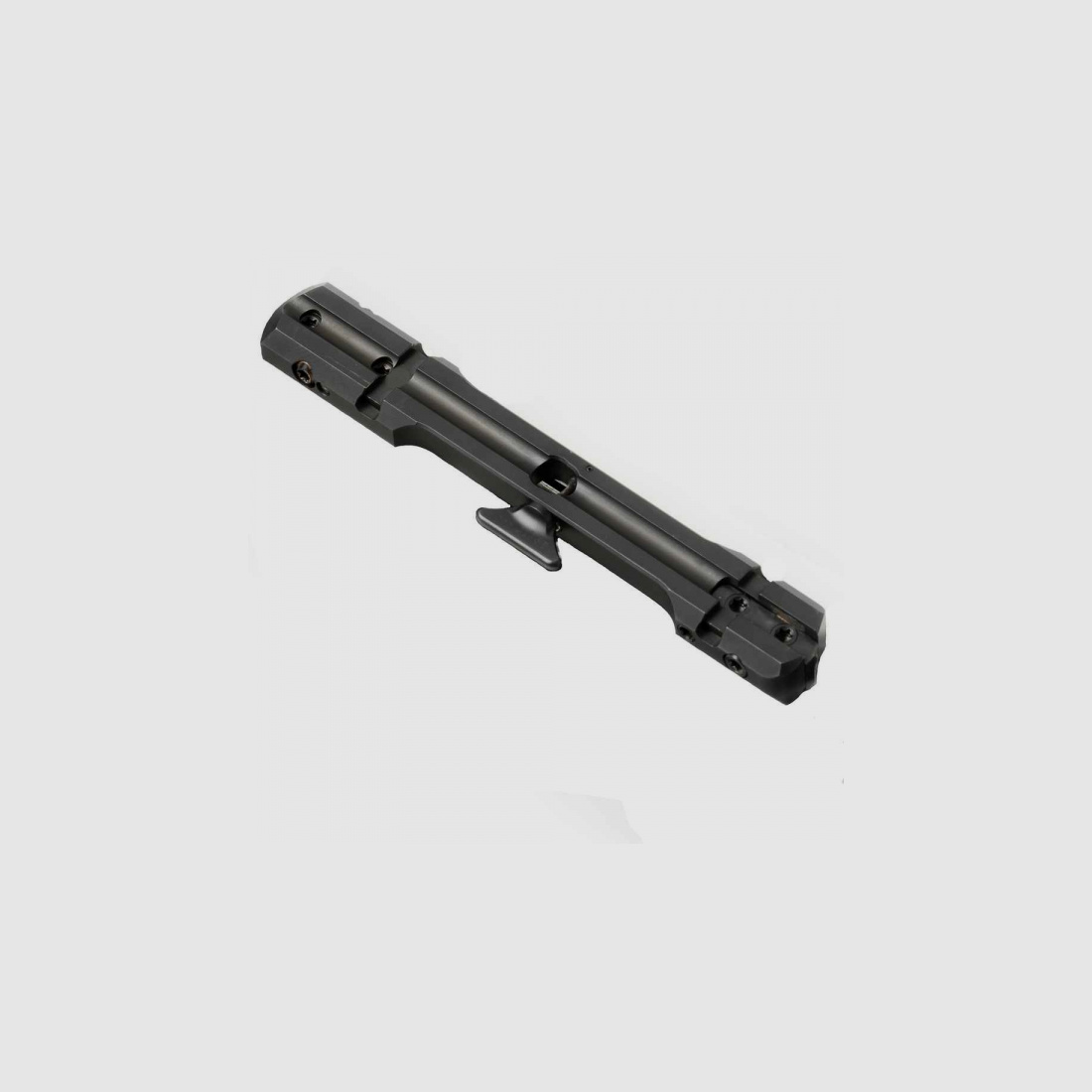 Dentler Basis Vario guida di base