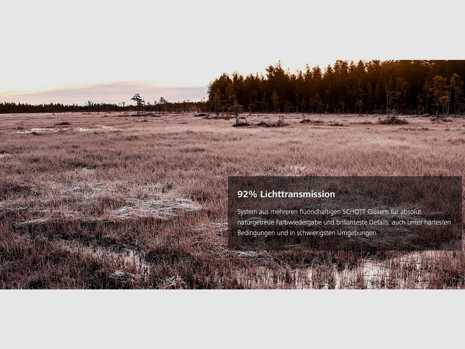 ZEISS Conquest V6 2-12x50 M ill. Absehen 60 mit Zeiss Schiene Zielfernrohr LP